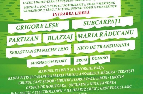 afis mara fest 2014
