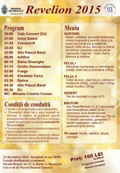 revelion-2015-drumul-taberi-bucuresti