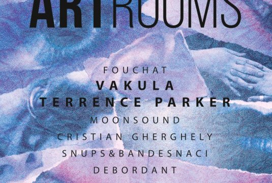 artrooms-vakula-terrence-parker-palatul-camerei-comert-bucuresti