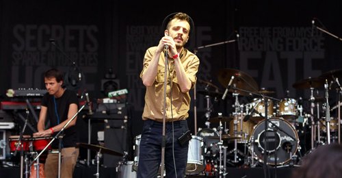 Tony-Baboon
