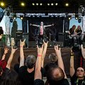 Primordial-Bucuresti