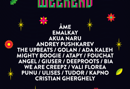 4-5 Iulie – Backyard-Weekend-2015