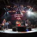 Hollywood-Vampires-Romexpo-Bucuresti-6-iunie-2016-33