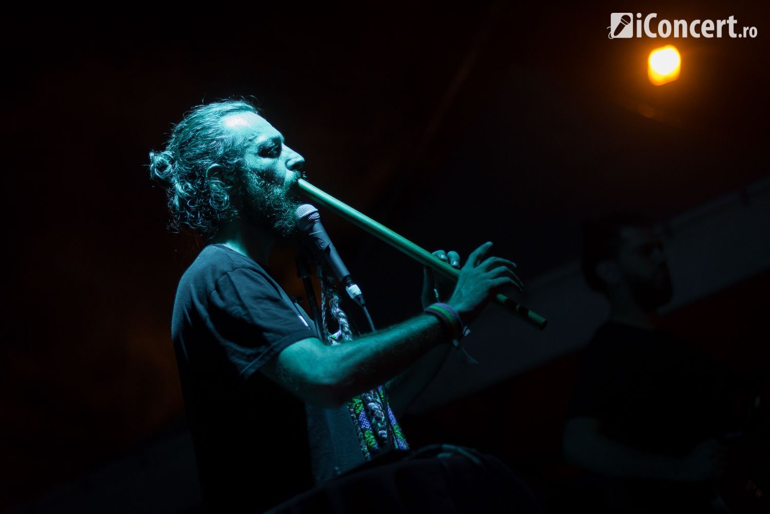 Subcarpaţi la Bucharest Street Food Festival 2016 - Foto: Florin Matincă / iConcert.ro