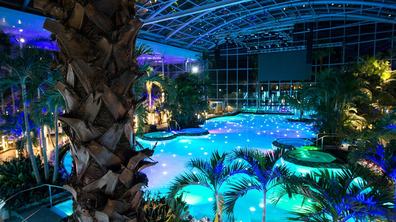the_palm_therme_bucuresti