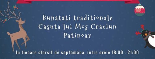poster-afis-poveste-craciun-parcul-sebastian-bucuresti-2016