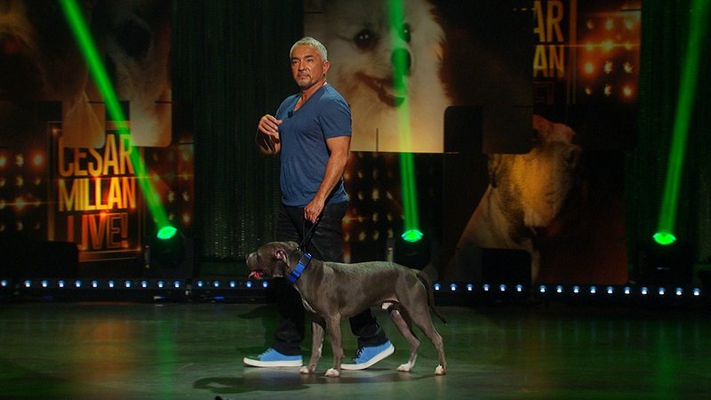 Cesar Millan