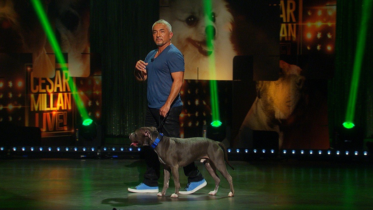 Cesar Millan