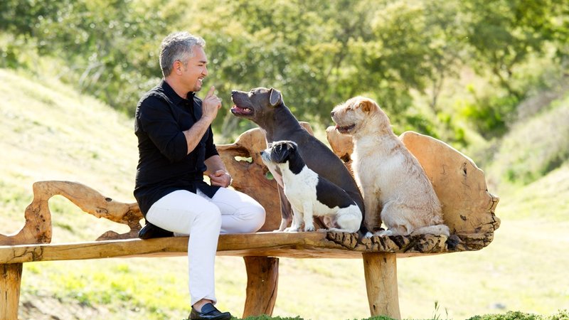 Cesar Millan
