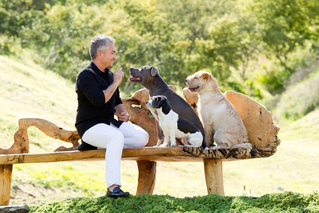 Cesar Millan