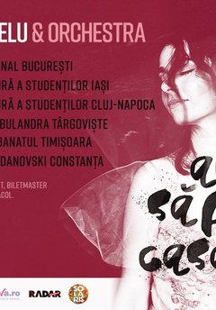 poster-afis-turneu-alexandra-usurelu-am-sa-fiu-eu-casa-ta-2017