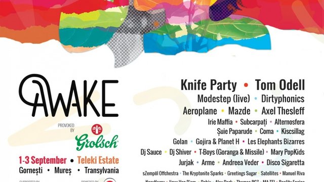 poster-afis-awake-festival-domeniul-teleki-gornesti-2017
