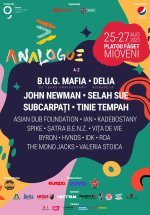 Analogue Festival 2023