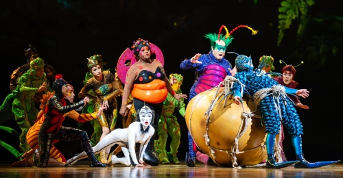 Galeria foto de la Cirque du Soleil - OVO, la București - Foto: Denisa Stoian / iConcert.ro