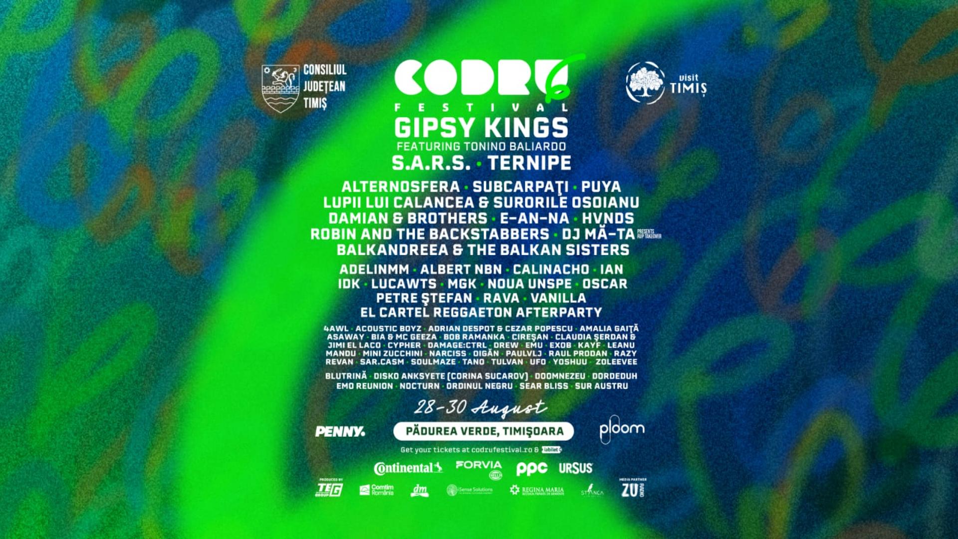 codru-6-timisoara-festival