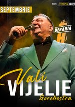 Concert Vali Vijelie la Berăria H din București